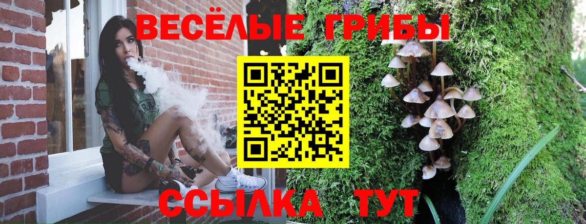 Галлюциногенные грибы MAGIC MUSHROOMS Советск