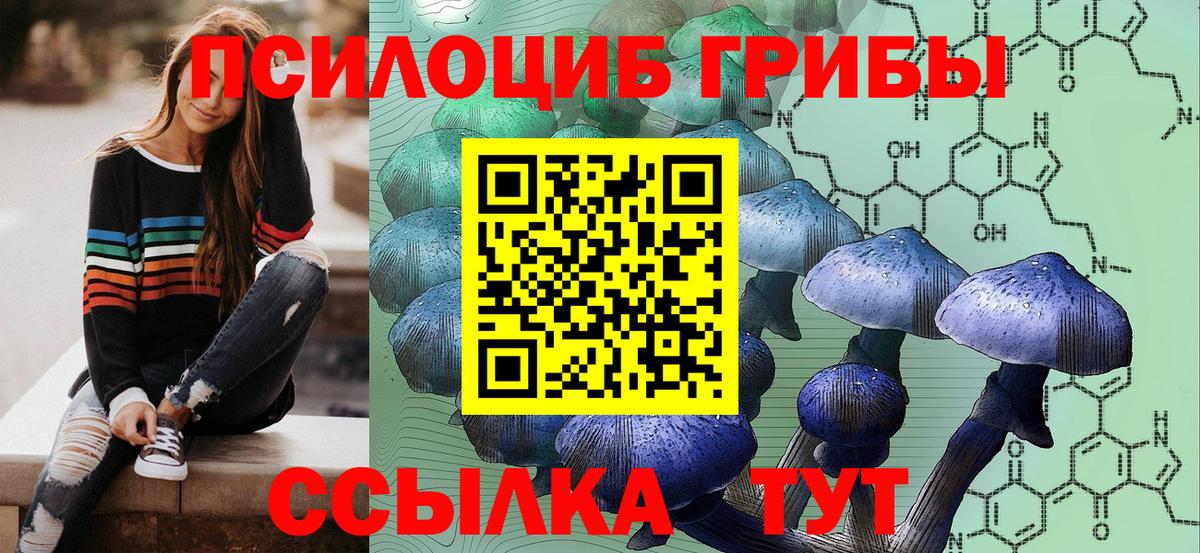 Советск  Галлюциногенные грибы MAGIC MUSHROOMS  Вход с VPN 