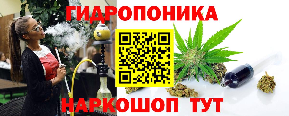Конопля Amnesia Советск